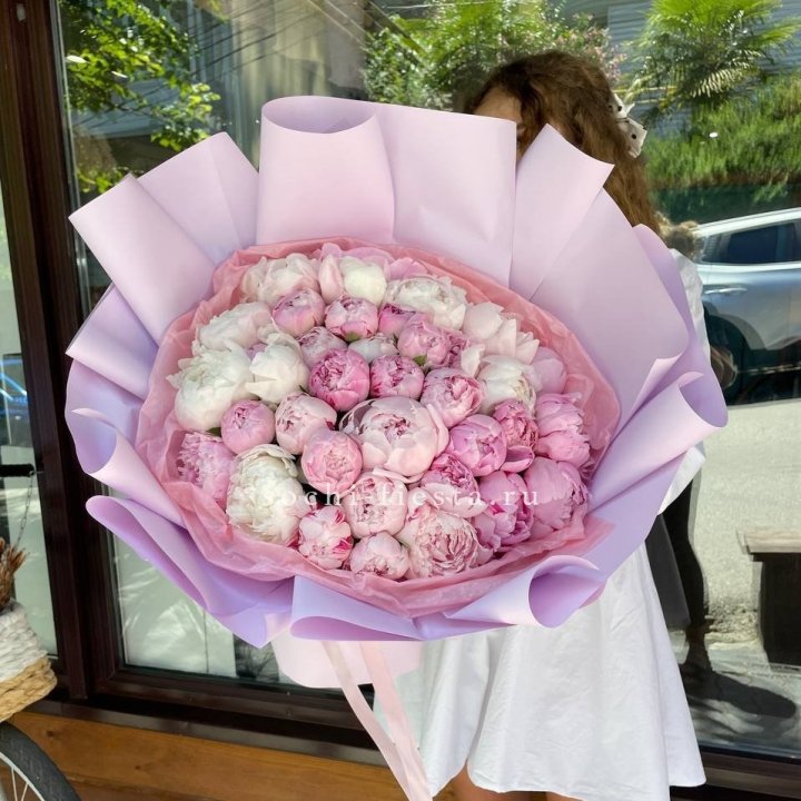 51 розовый пион в Северодвинске