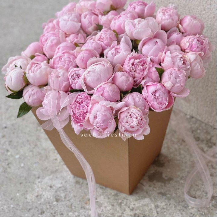 49 пионов в крафт коробке в Северодвинске