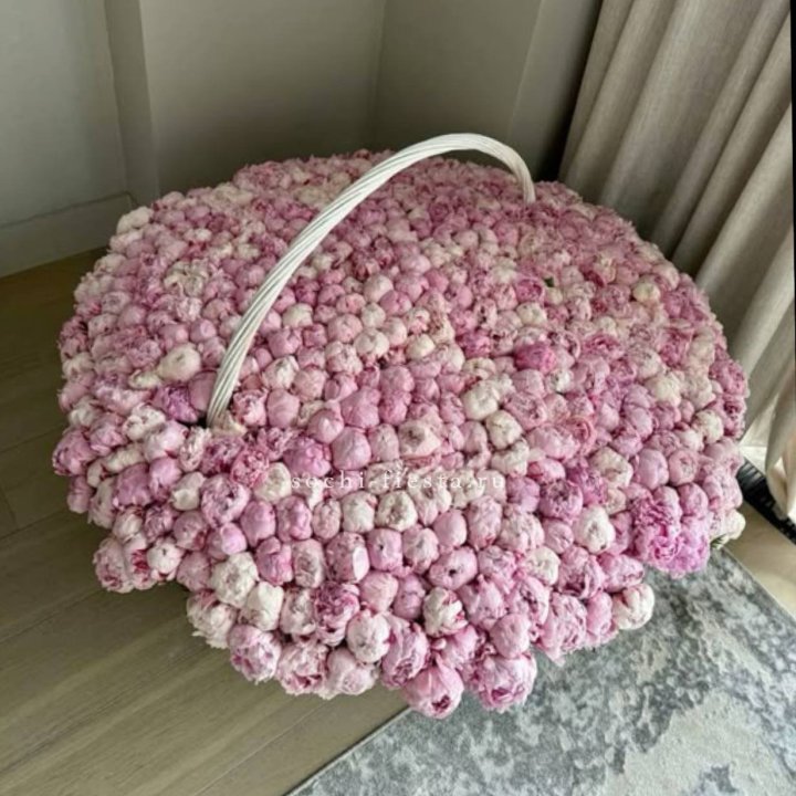 Корзина 555 пионов в Северодвинске