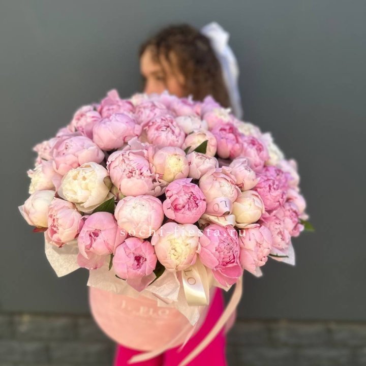 51 нежных пионов  в цилиндре в Северодвинске