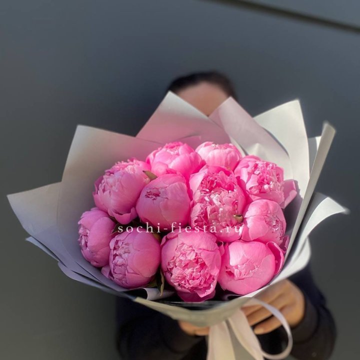 Пионы Алекс флеминг в Северодвинске