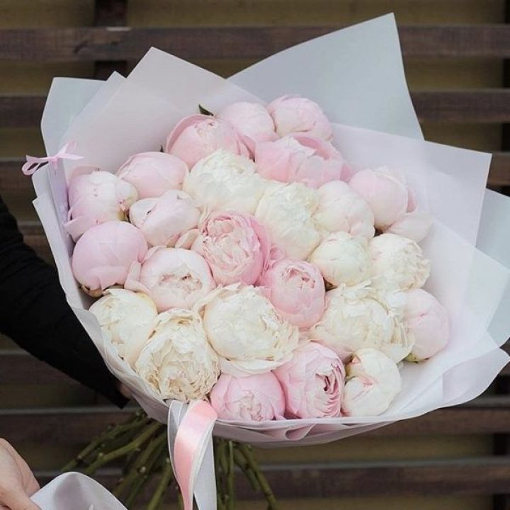 29 пионов в Северодвинске