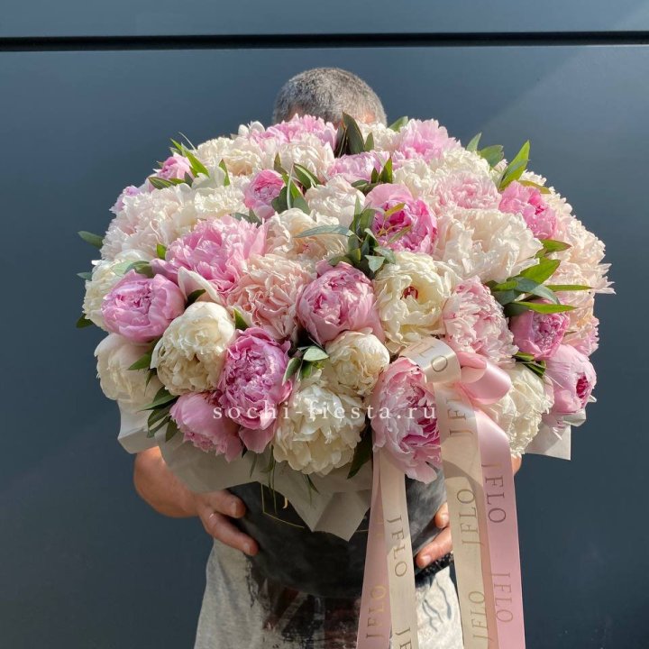 51 пионов в боксе в Северодвинске