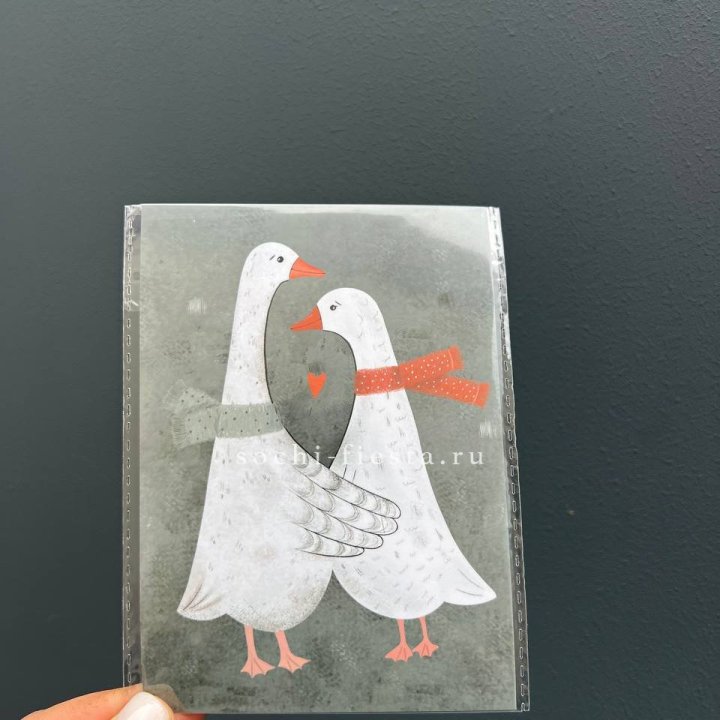 Открытка к букету "Гуси” в Северодвинске