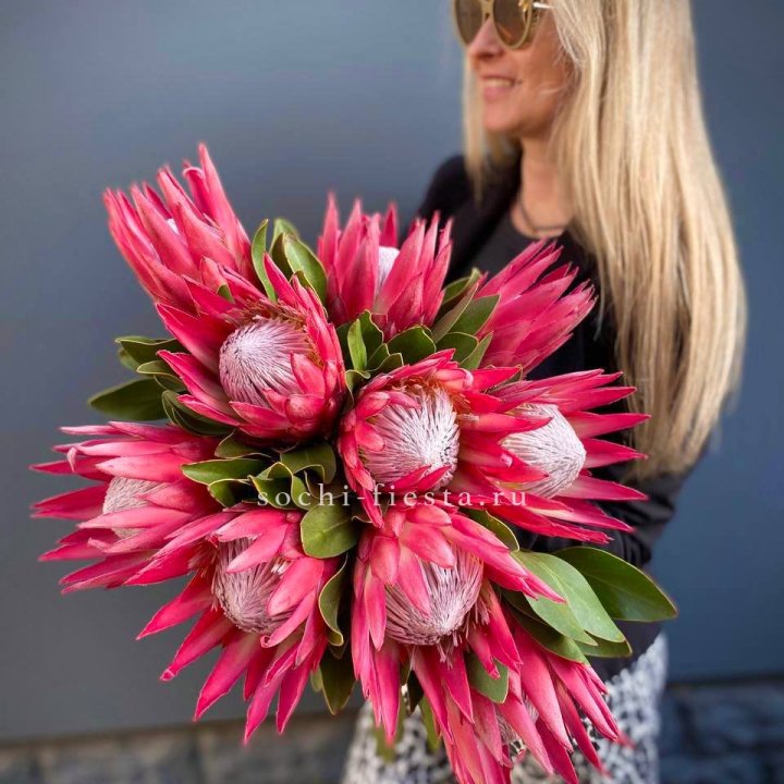 Протея штучно в Северодвинске