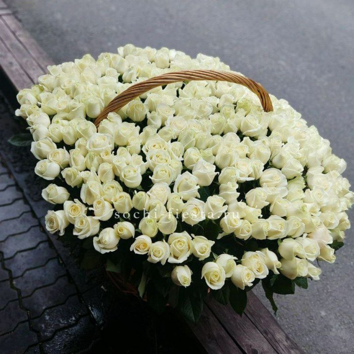 303 розы в корзине в Северодвинске