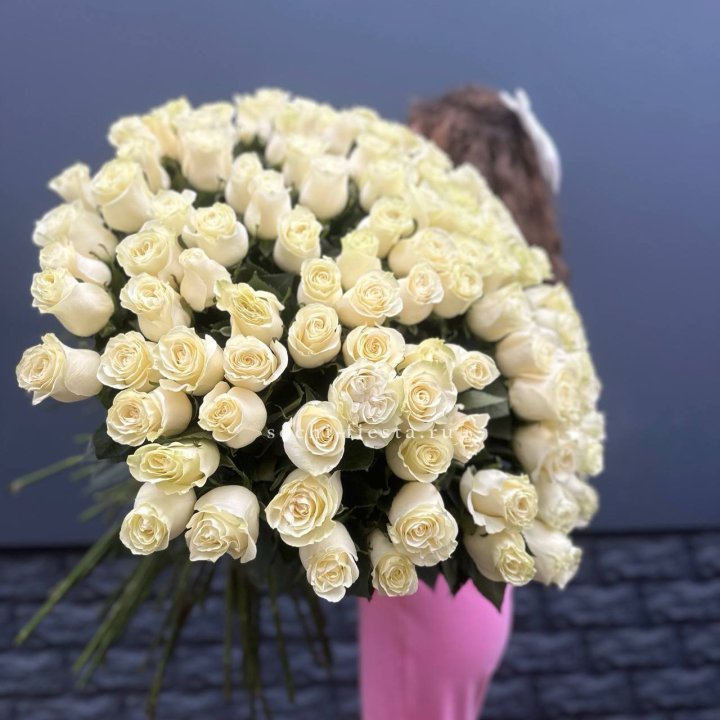 101 белая высокая импортная роза под ленту в Северодвинске