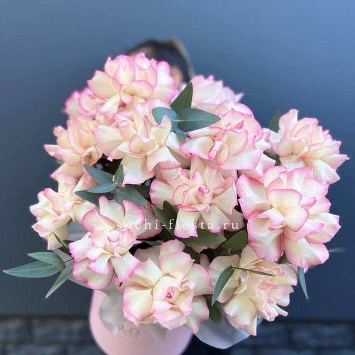 15 Французских роз Джумилия в боксе в Северодвинске