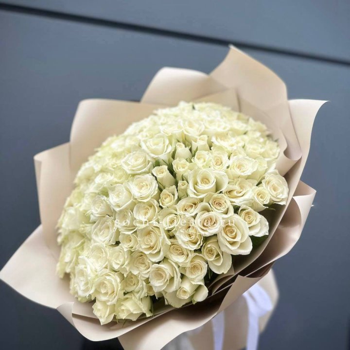 101 белая роза Атена в Северодвинске