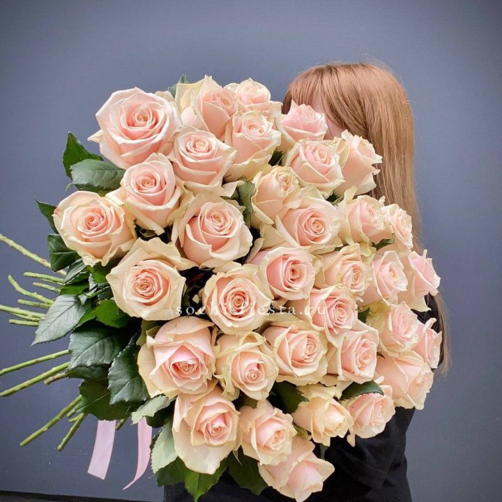 35 кремовых высоких роз в Северодвинске