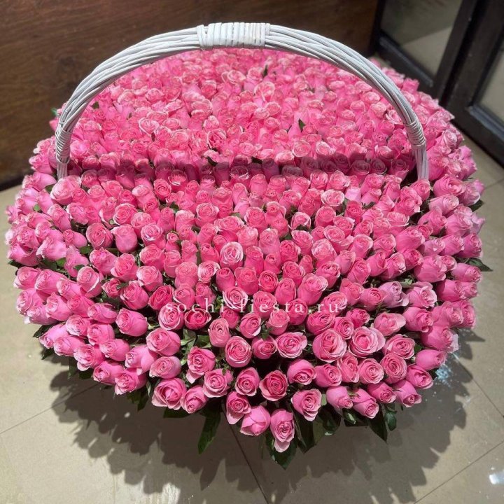 501 розовая роза в Северодвинске