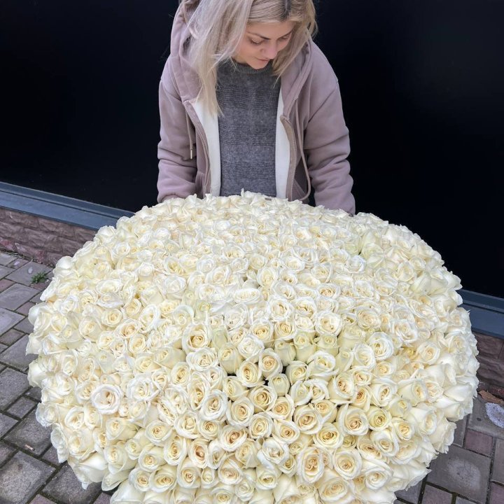 501 белая роза в корзине в Северодвинске