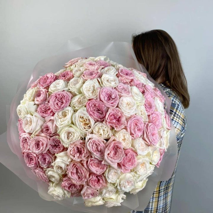 101 роз Охара в Северодвинске