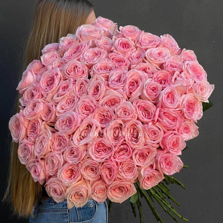 75 роз Охара в Северодвинске