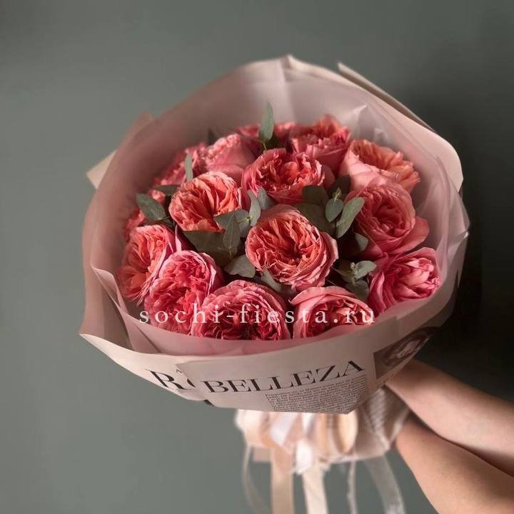 15 Пинк экспрешен в Северодвинске