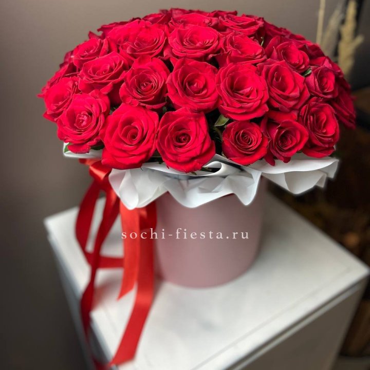 Красные розы 51шт  в коробке в Северодвинске