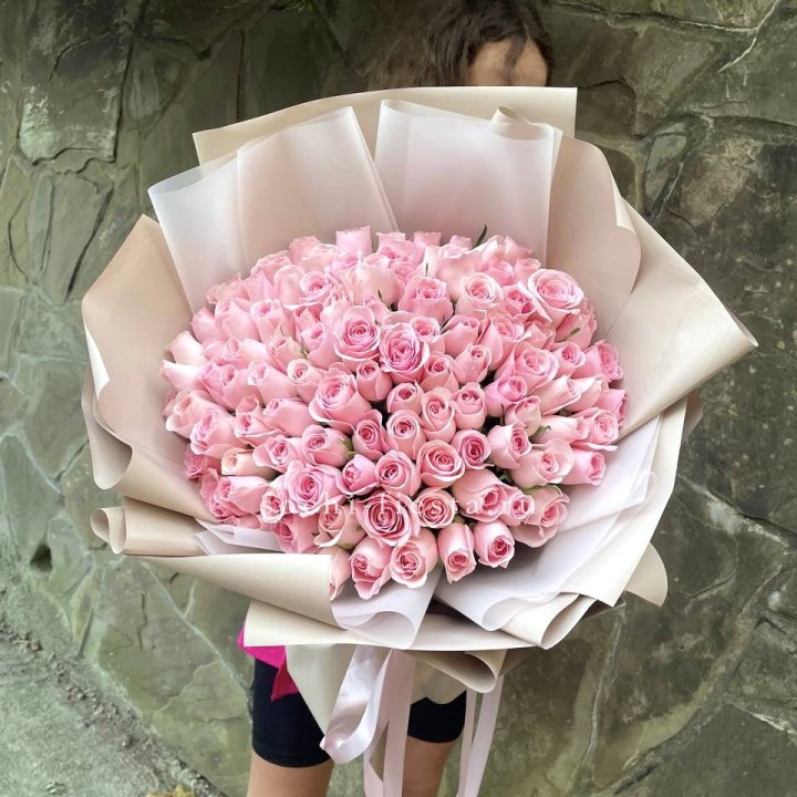 101 нежно-розовая роза Каролина  в Северодвинске