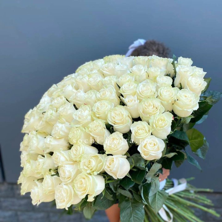 101 белая высокая роза в Северодвинске