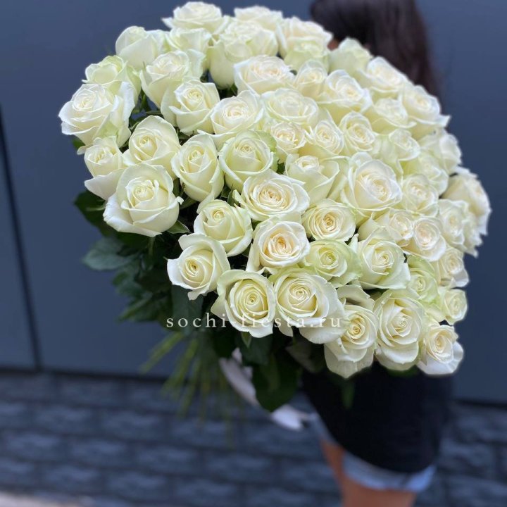51 белоснежная высокая роза в Северодвинске