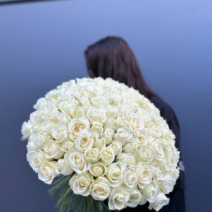 Охапка из 101 белой розы  в Северодвинске