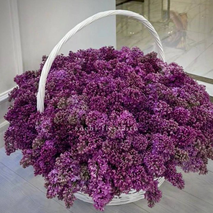 Корзина сирени в Северодвинске