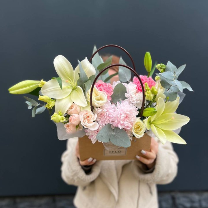  Сумочка "Полумесяц" в Северодвинске