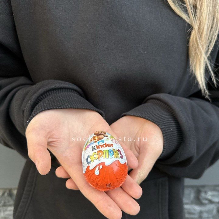 Яйцо "Киндер Сюрприз" в Северодвинске