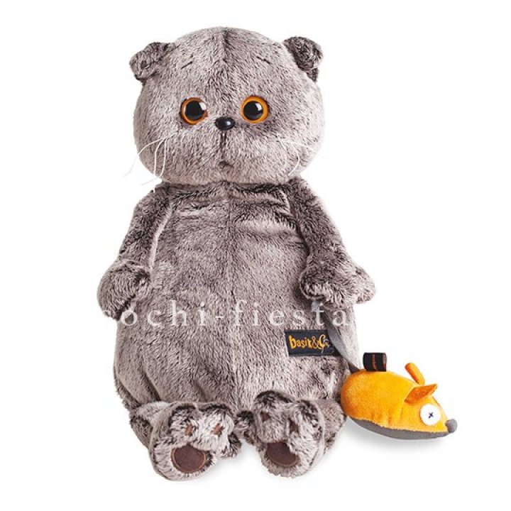 Кот Басик с мышкой в Северодвинске