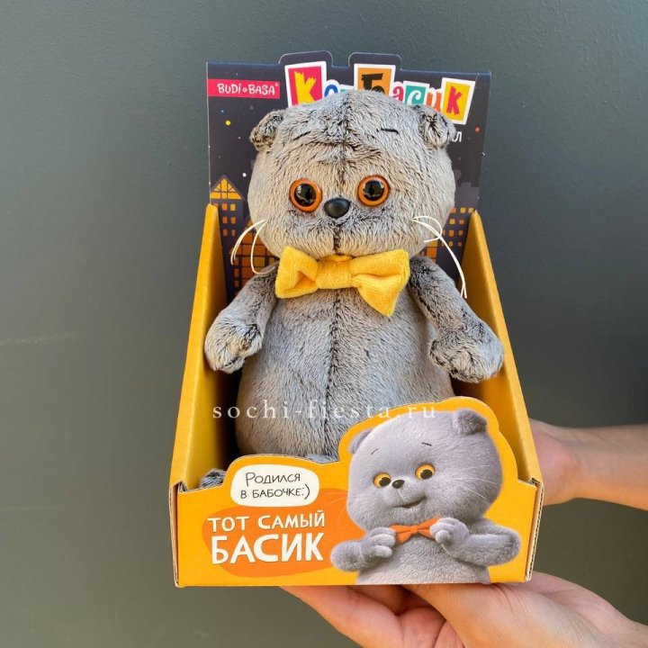 Кот Басик с бабочкой в Северодвинске