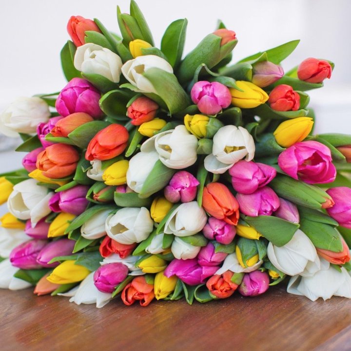 79 тюльпанов "Рандом" в Северодвинске