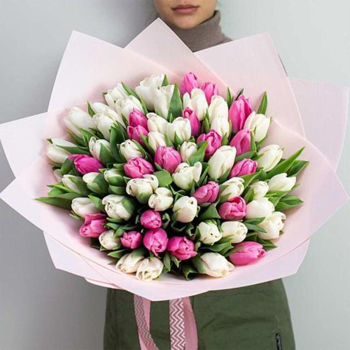 61 бело-розовый тюльпан в Северодвинске