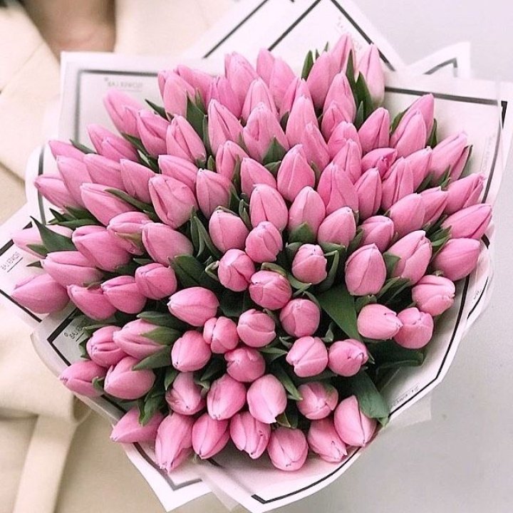 101 розовый тюльпан в белом в Северодвинске