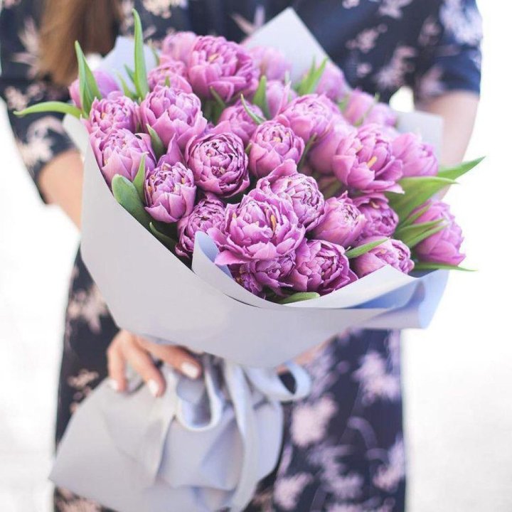 Тюльпаны "Пионс" в Северодвинске