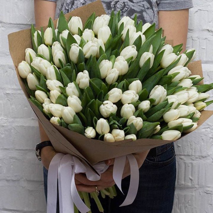 101 тюльпан сноу в Северодвинске