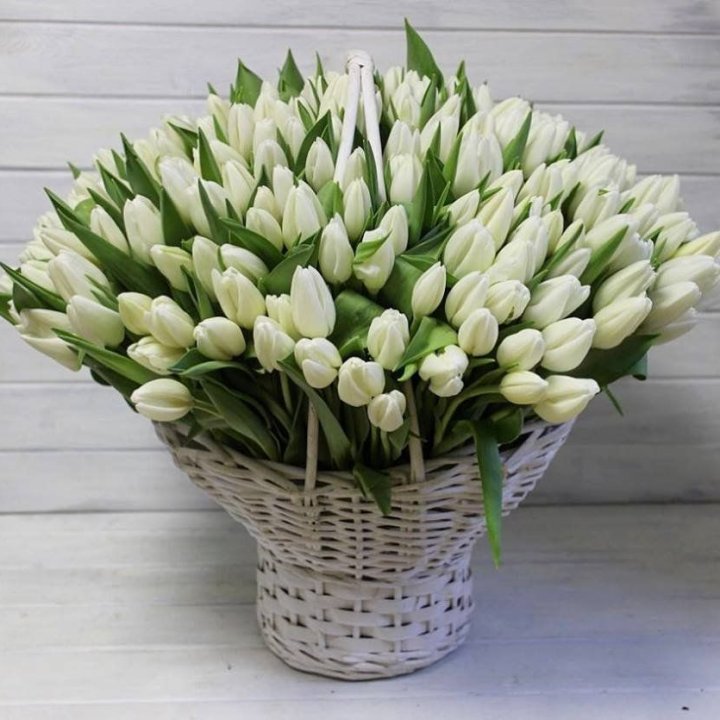Корзина из 151 тюльпана в Северодвинске