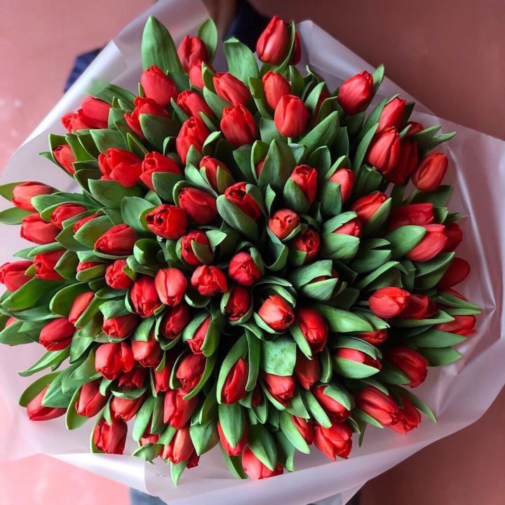 101 красный тюльпан в Северодвинске